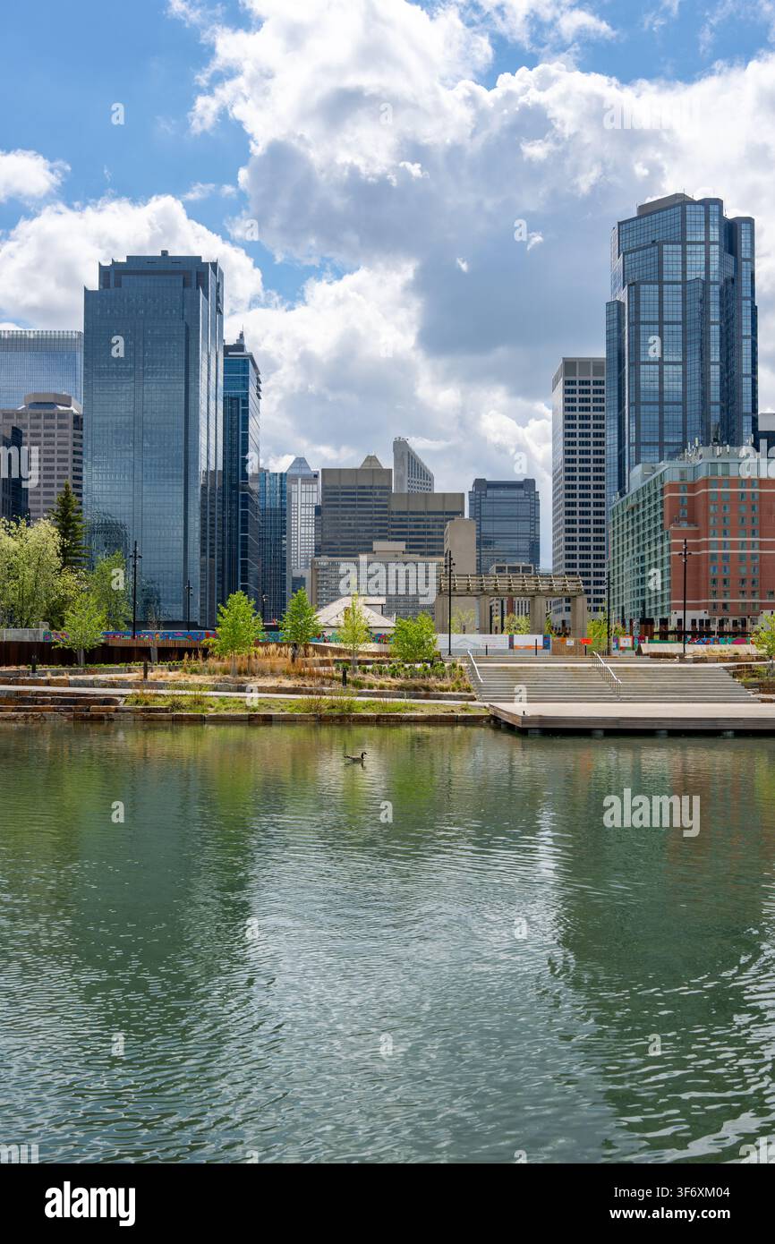 Stadtbild von Downtown Calgary über einem städtischen Parklagun Stockfoto