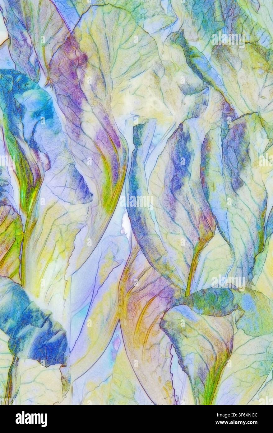 Ein zeichnerischer Stil fotografiert weiche pastellfarbene Blätter, die in einem abstrakten botanischen Muster geschichtet sind. Stockfoto