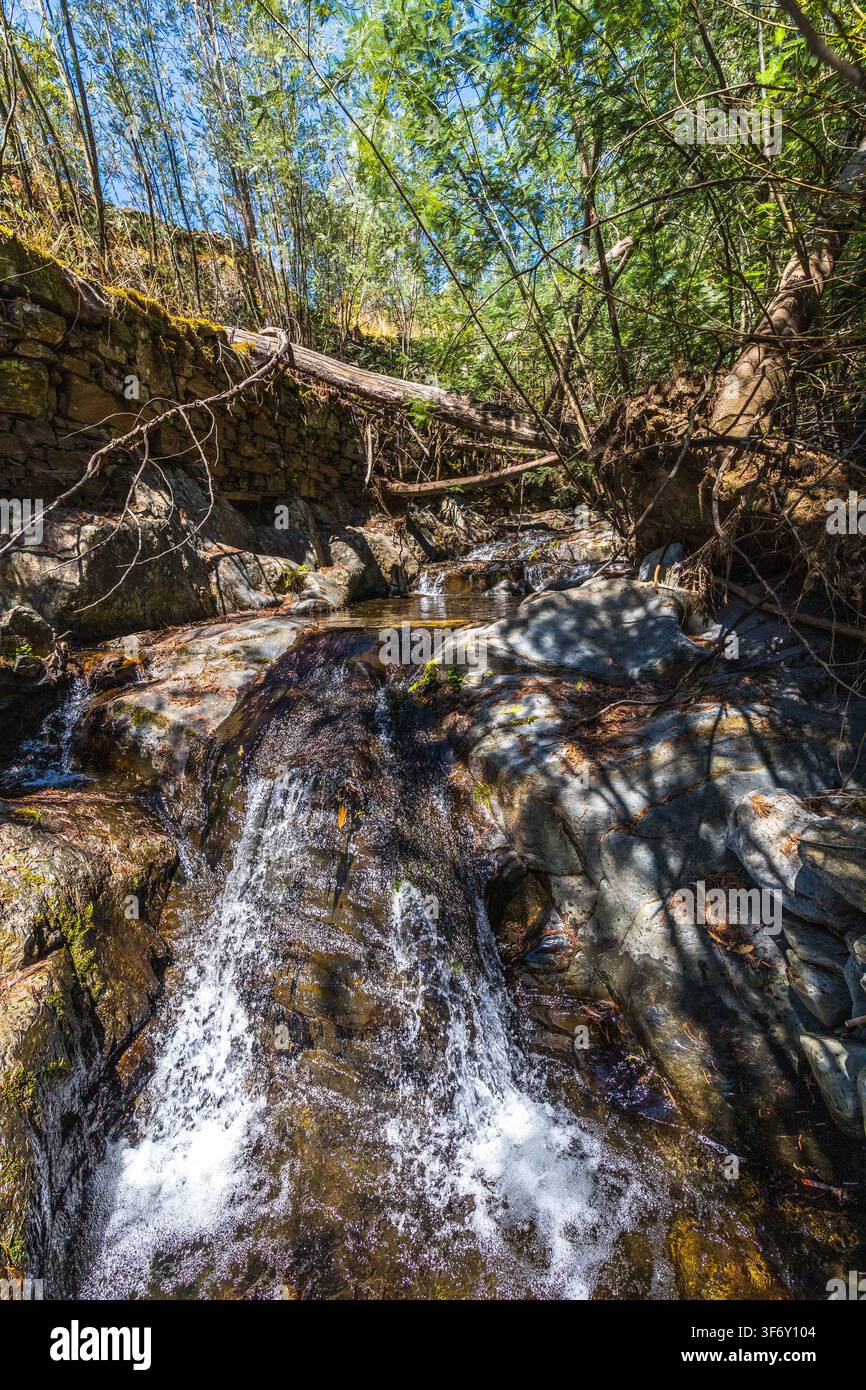 Ein kleiner Bach stürzt über Felsen in einer bewaldeten Bergschlucht mit umgestürzten Baumstämmen in Zentralportugal. Stockfoto
