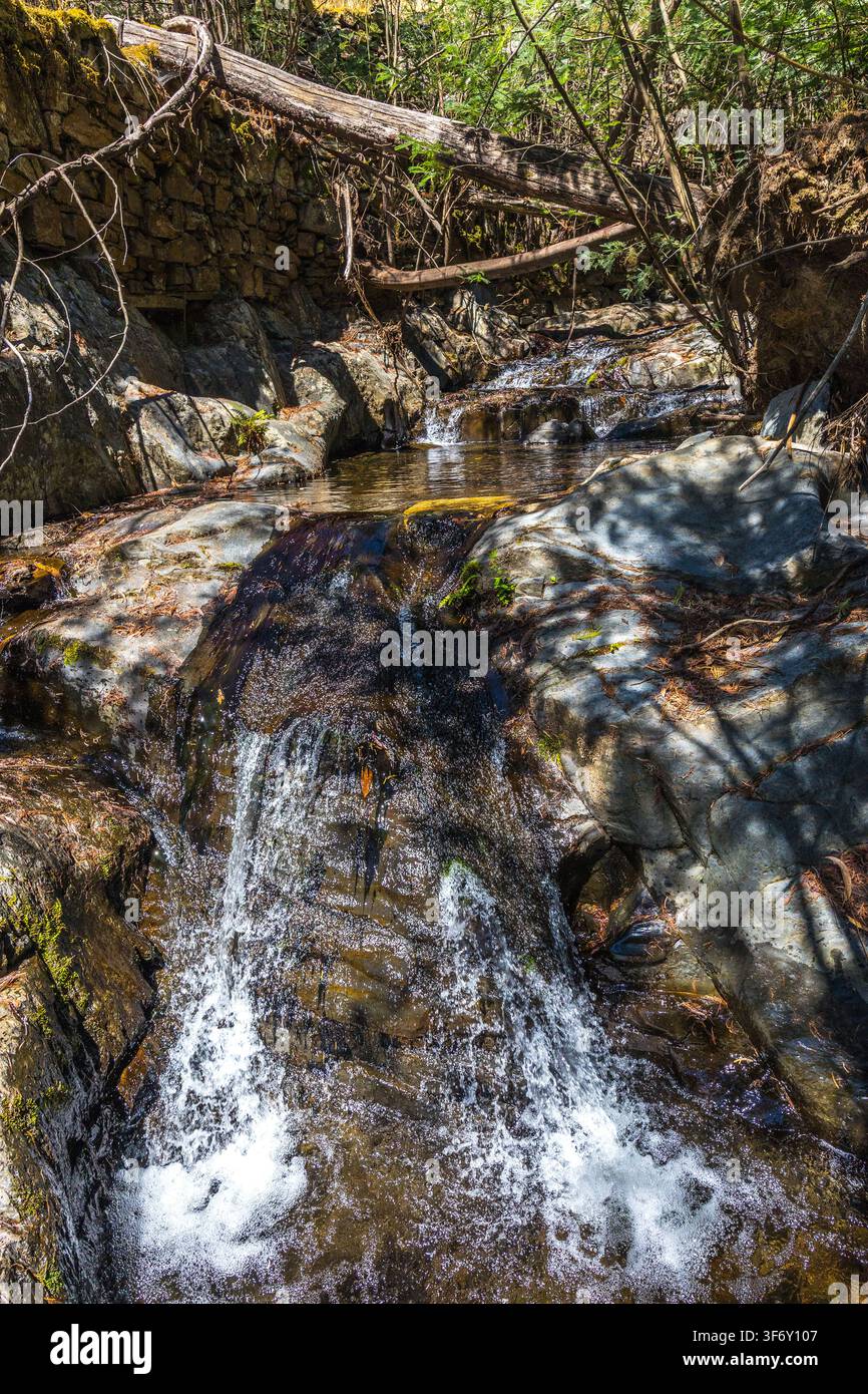 Ein kleiner Bach stürzt über Felsen in einer bewaldeten Bergschlucht mit umgestürzten Baumstämmen in Zentralportugal. Stockfoto