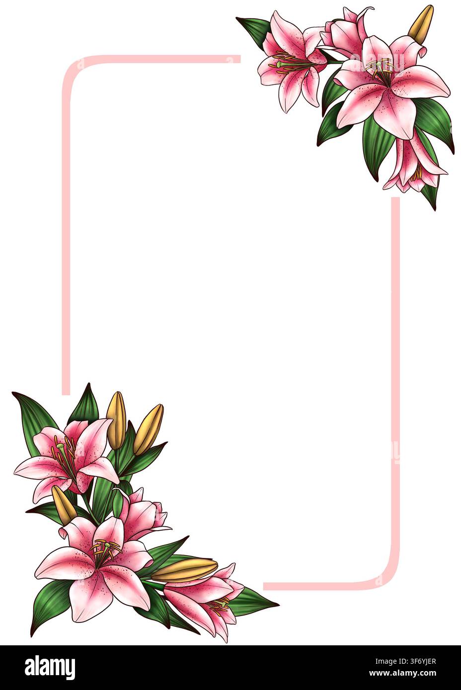 Botanische Illustration einer Lilienblumenkollektion isoliert auf weißem Hintergrund. Handgezeichnete Blumenelemente als Cliparts für Hochzeitseinladungen, Geburtstage Stockfoto