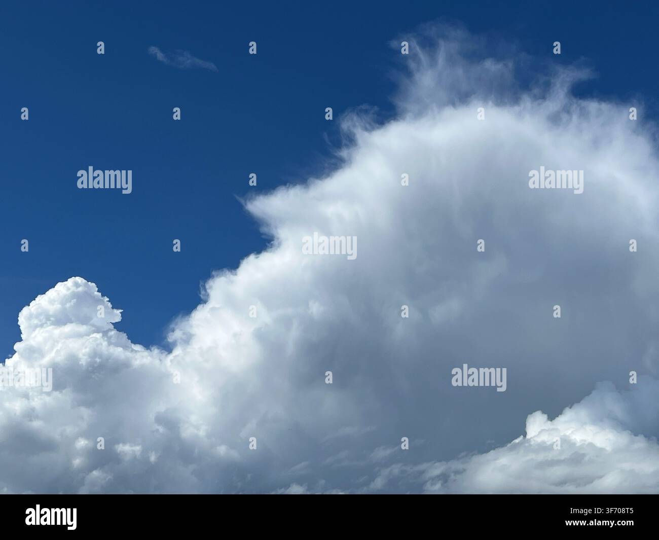 Cumulus-Wolken gegen blauen Himmel Stockfoto
