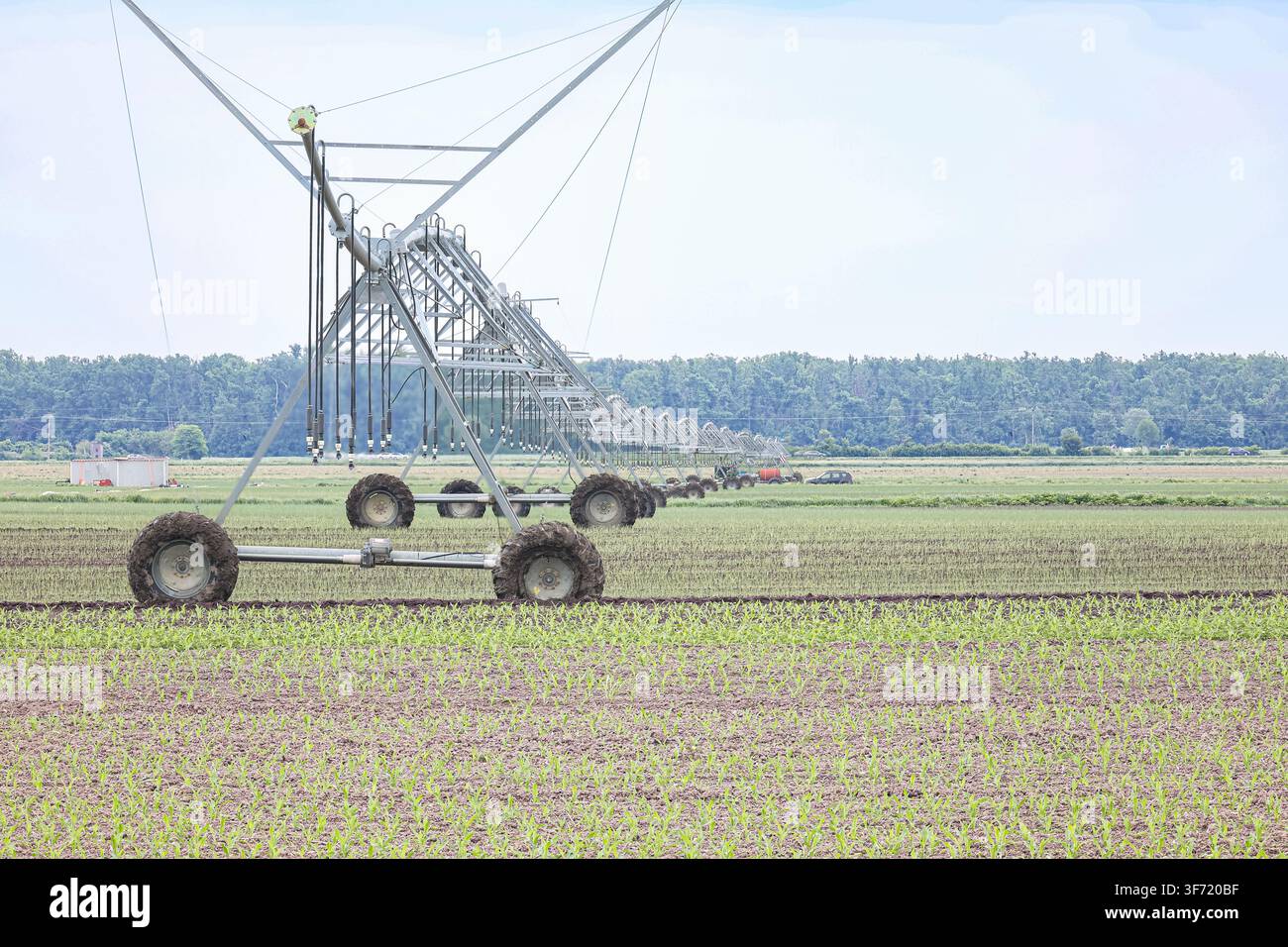 Zentralschwenkbewässerungssystem, das ein großes landwirtschaftliches Feld mit jungen Maiskeimlingen, feuchtem Boden und landwirtschaftlichen Maschinen überspannt; erinnert an moderne Landwirtschaft, c Stockfoto