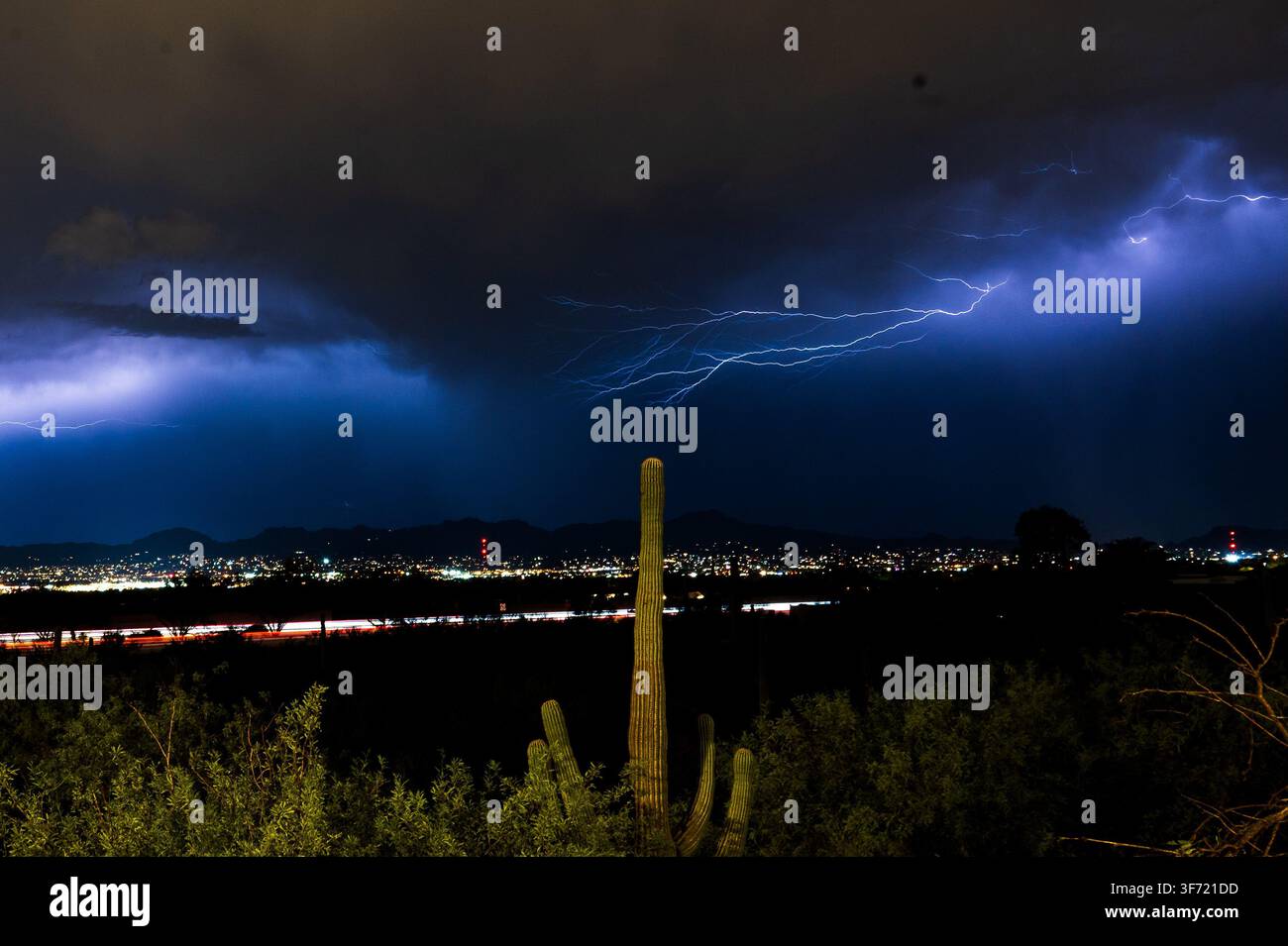 Himmelsblitz leuchtet in Gewitterwolken über einer Wüstenstadt-Silhouette, mit einem Saguaro-Kaktus im Vordergrund als Silhouette. Stockfoto