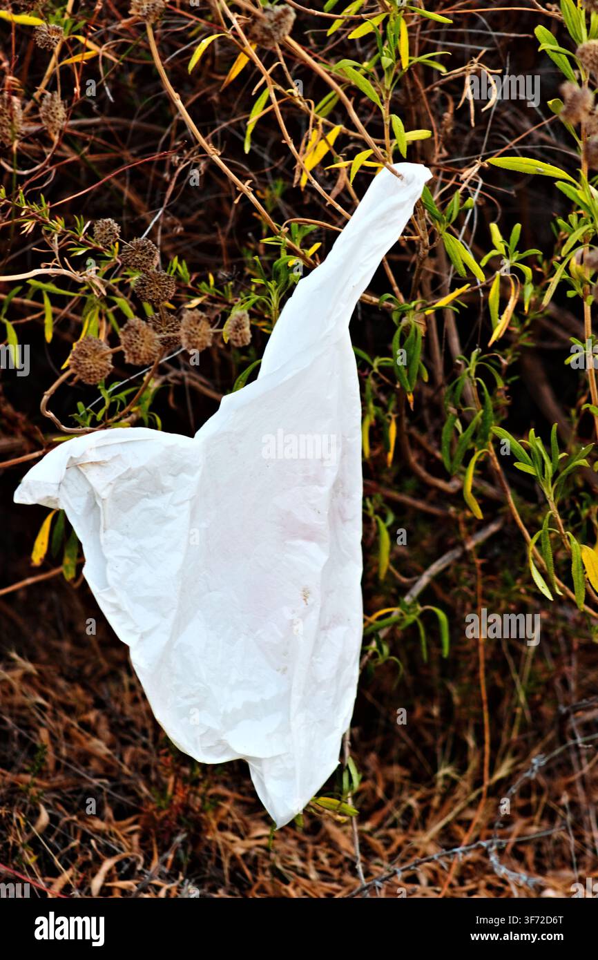 Ein weggeworfener weißer kompostierbarer Beutel liegt verheddert in trockenem Gras und Unkraut und betont Müll und Abfall in einem ausgetrockneten Naturgebiet. Stockfoto