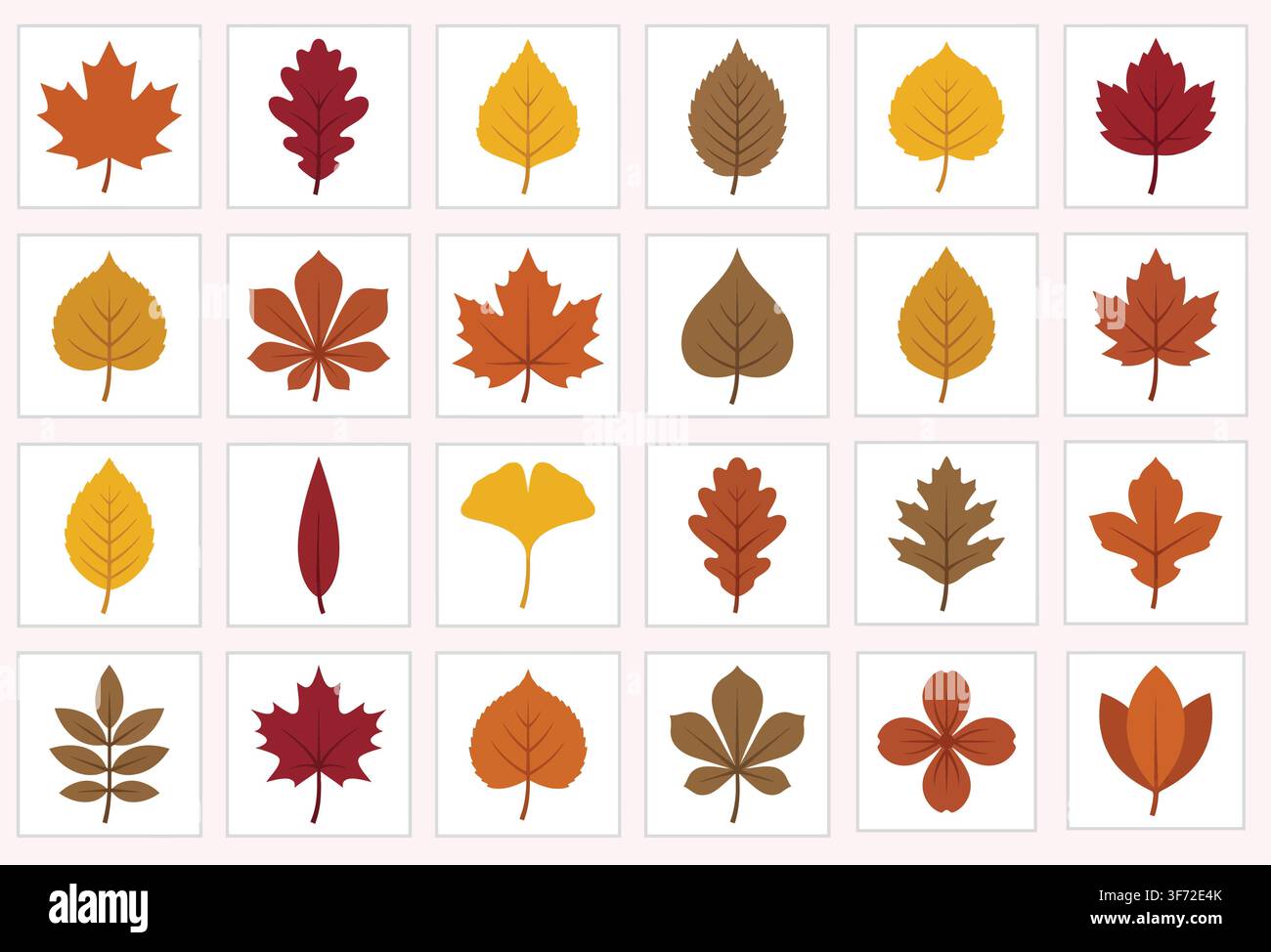 Buntes Vektor-Set mit Herbstblättern, Sammlung von Herbstlaub isoliert auf weißem Hintergrund. Stock Vektor