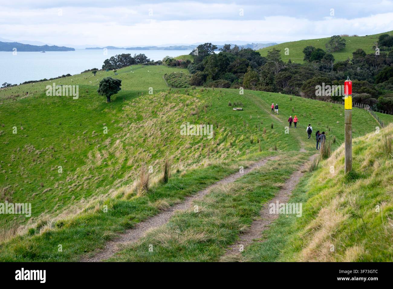 Wanderwege im Duder Regionalpark, Auckland, Nordinsel, Neuseeland Stockfoto