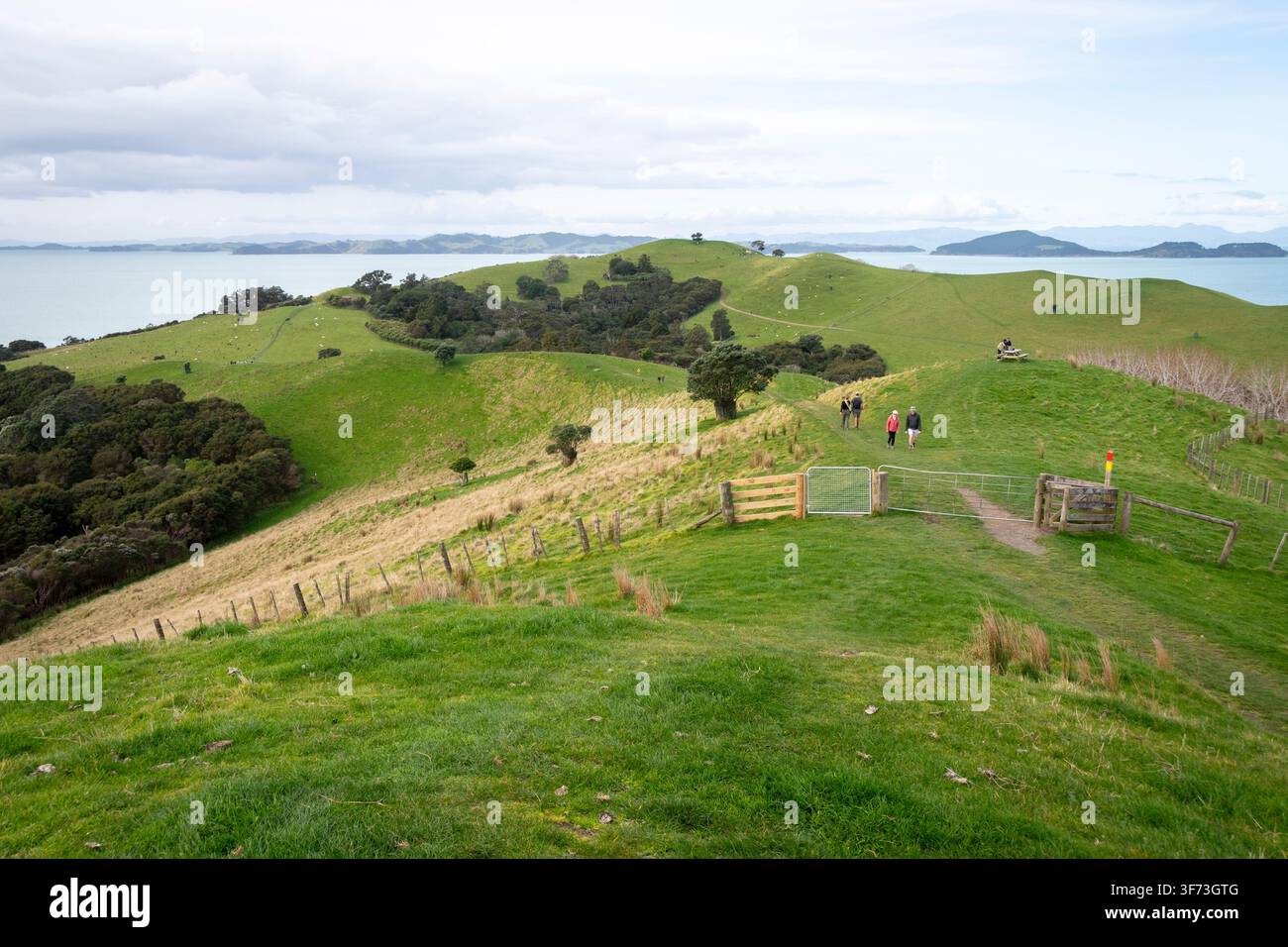 Wanderwege im Duder Regionalpark, Auckland, Nordinsel, Neuseeland Stockfoto