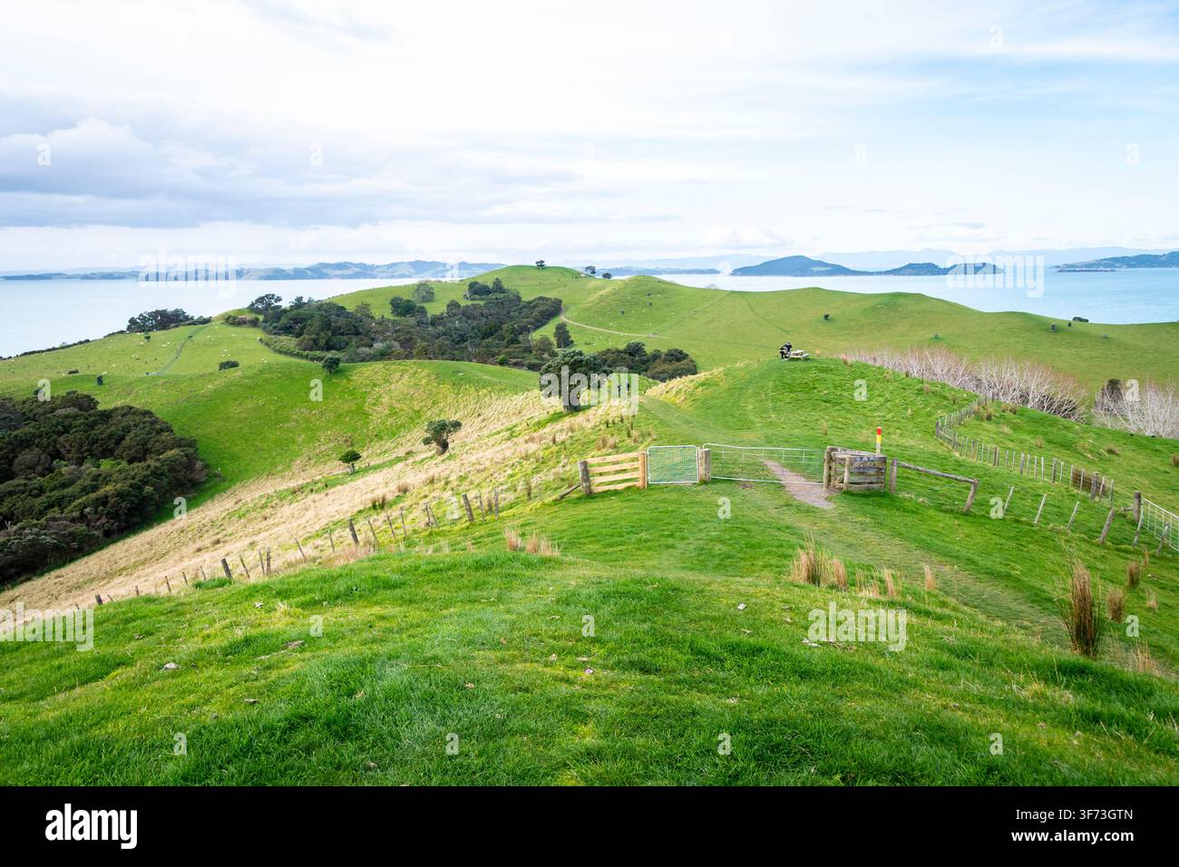 Wanderwege im Duder Regionalpark, Auckland, Nordinsel, Neuseeland Stockfoto