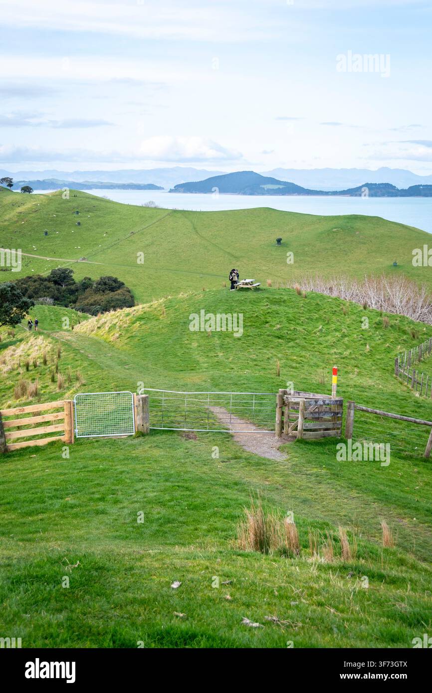 Wanderwege im Duder Regionalpark, Auckland, Nordinsel, Neuseeland Stockfoto