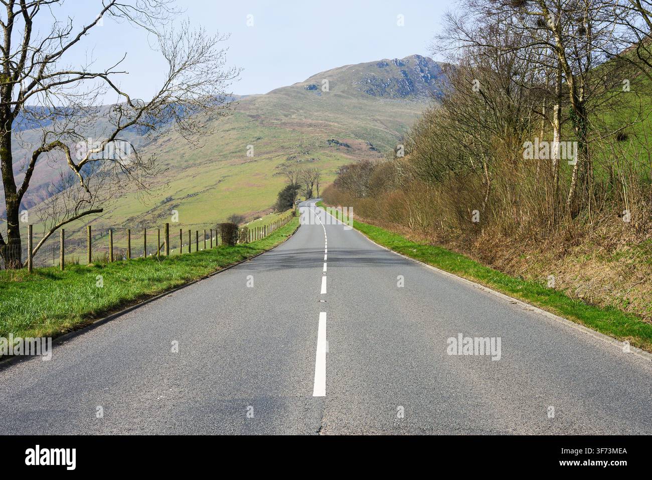 Ländliche zweispurige Straße, die im Frühling durch raues Ackerland in Zentralwales führt Stockfoto