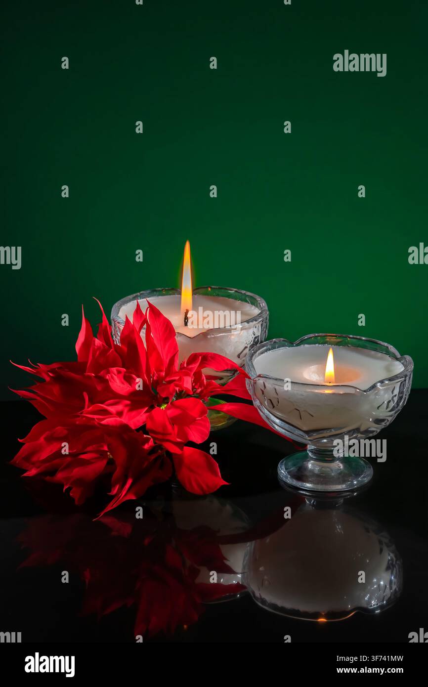 Weihnachtsarrangement, 2 Kerzen in ornamentaler Glasware, purpurrote Poinsettia, grüner Farbverlaufshintergrund, alles perfekt im glänzenden Tisch reflektiert. Stockfoto