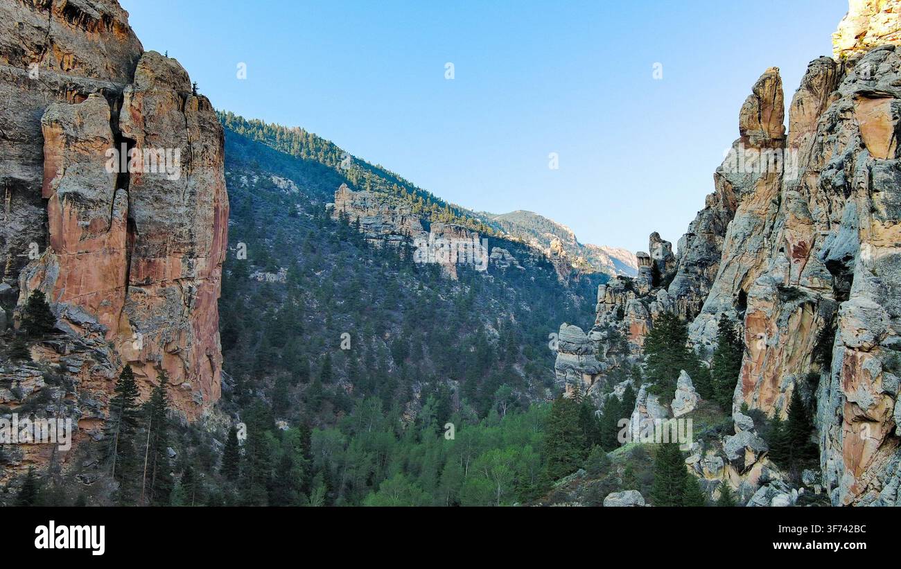 Sheep Creek Stockfoto