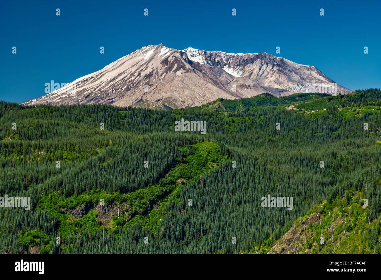 Mount Saint Helens, Blick vom Bear Meadow, Forest Road 99, Cascade Range, Gifford Pinchot National Forest, Bundesstaat Washington, USA Stockfoto