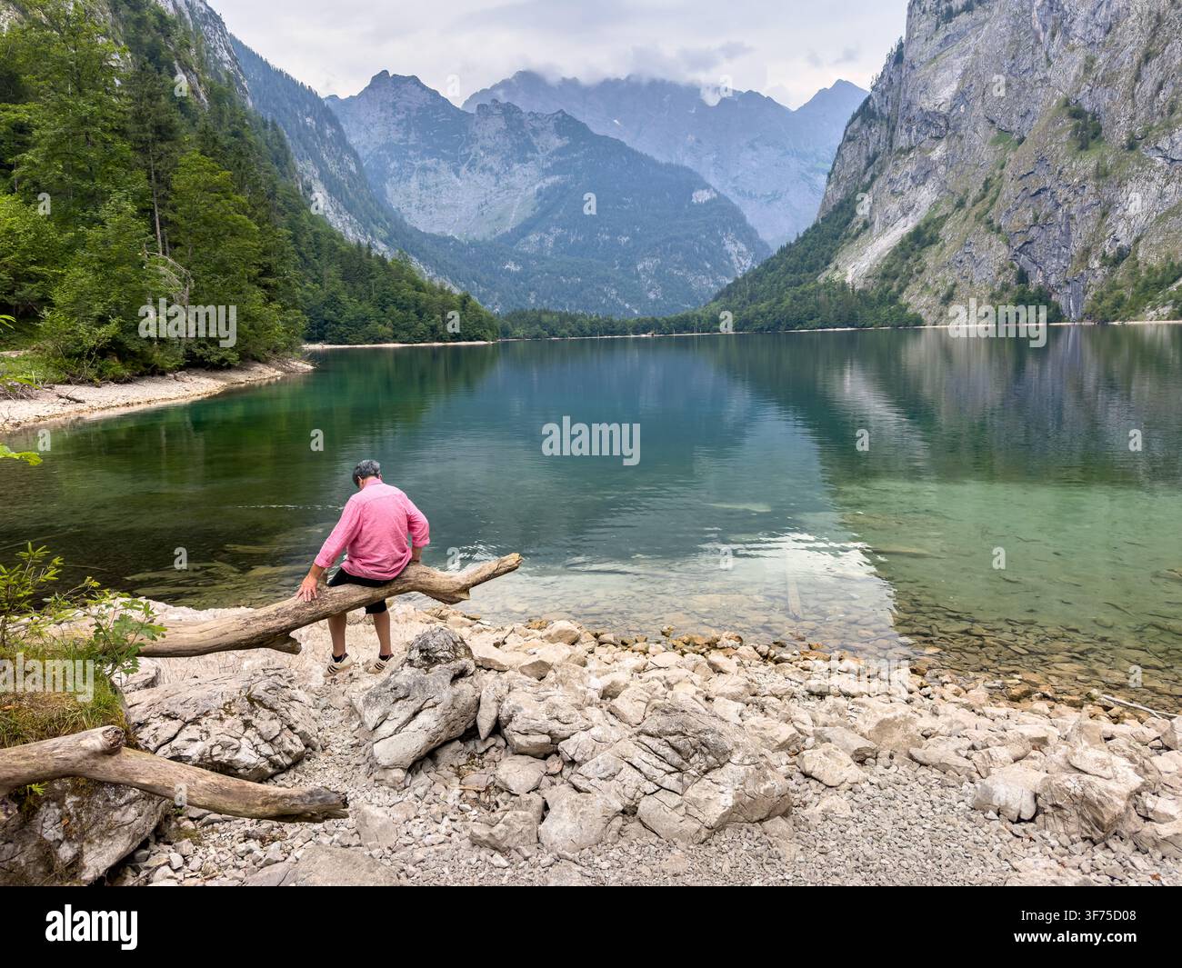 Älterer Mann macht eine Pause auf einem sehr alten Baumast in den Bayerischen Alpen mit Bergsee Stockfoto