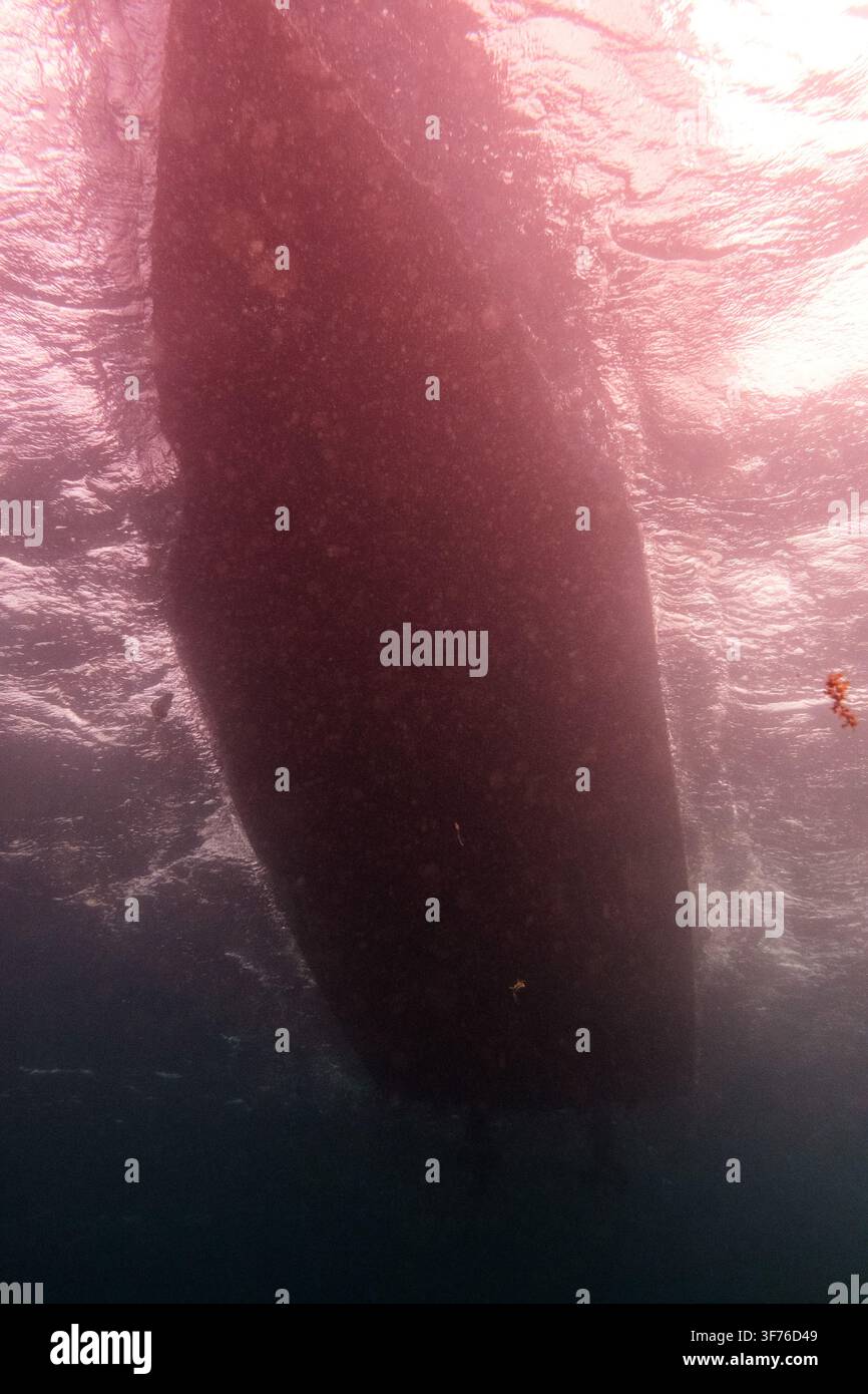 Aufwärts gerichtete Unterwasseraufnahme eines Bootsrumpfes, der unter der sonnenbeschienenen Oberfläche des Indischen Ozeans in Diani, Kwale County, Kenia, am 14. Juni 2026 silhouettiert ist. Flimmernd Stockfoto