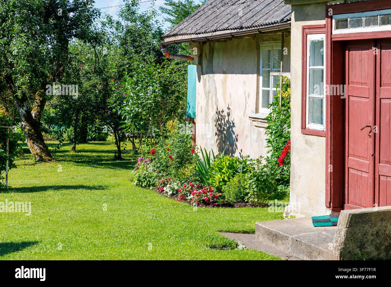 Seiteneingang eines klassischen rustikalen Hauses mit buntem Blumenbeet, roter Holztür und grünem Obstgarten-Hintergrund. Stockfoto
