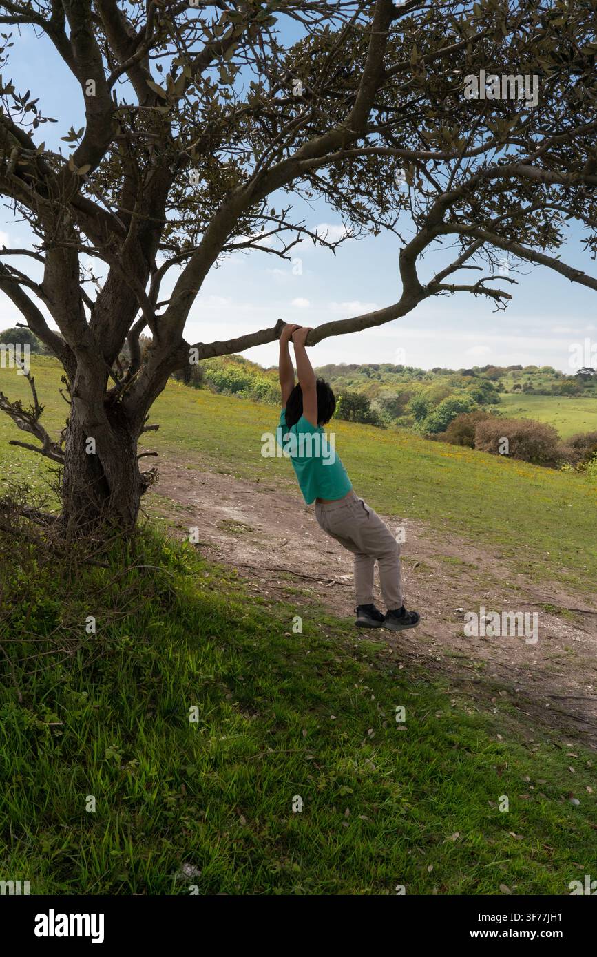 Ein Junge spielt, indem er von einem Ast eines Baumes im malerischen Devil's Dyke-Denkmal in den South Downs, East Sussex, UK, schwingt Stockfoto