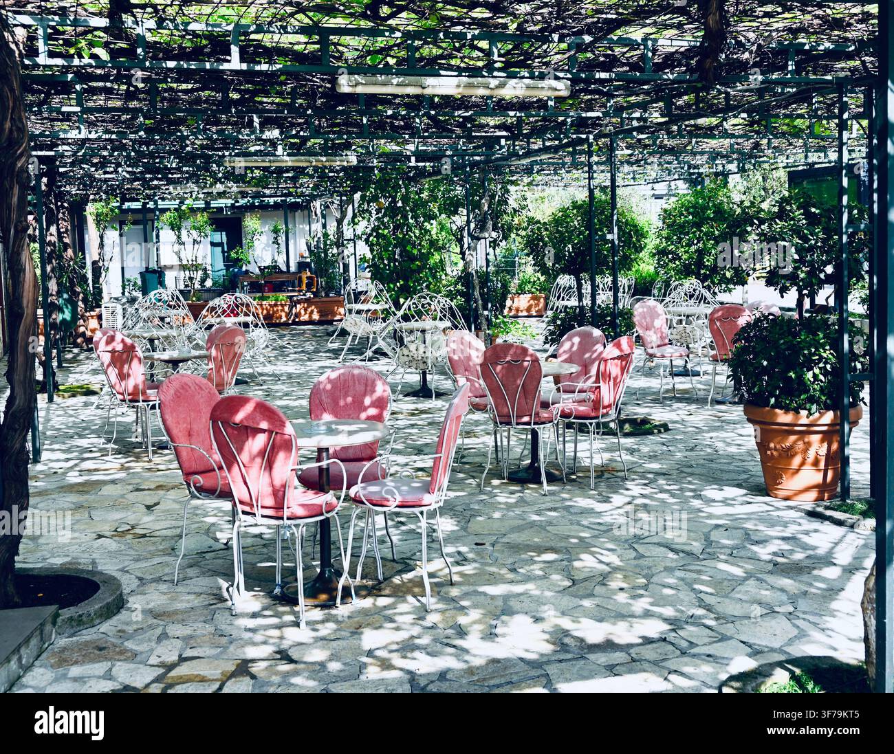 Ein horizontaler Fotoaufnahme einer Außenterrasse eines Cafés, die von einem dichten, belaubten Gitterwerk überdacht ist, mit mehreren Tischen und Stühlen mit rosa Kissen auf einem steinplattierten Boden. Stockfoto