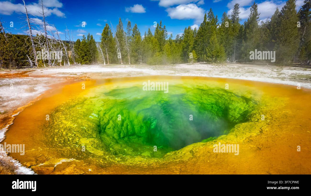 Regenbogenfarbenes Wasser füllt den Morning Glory Pool im Yellowstone-Nationalpark und präsentiert seine lebendige geothermische Schönheit Stockfoto