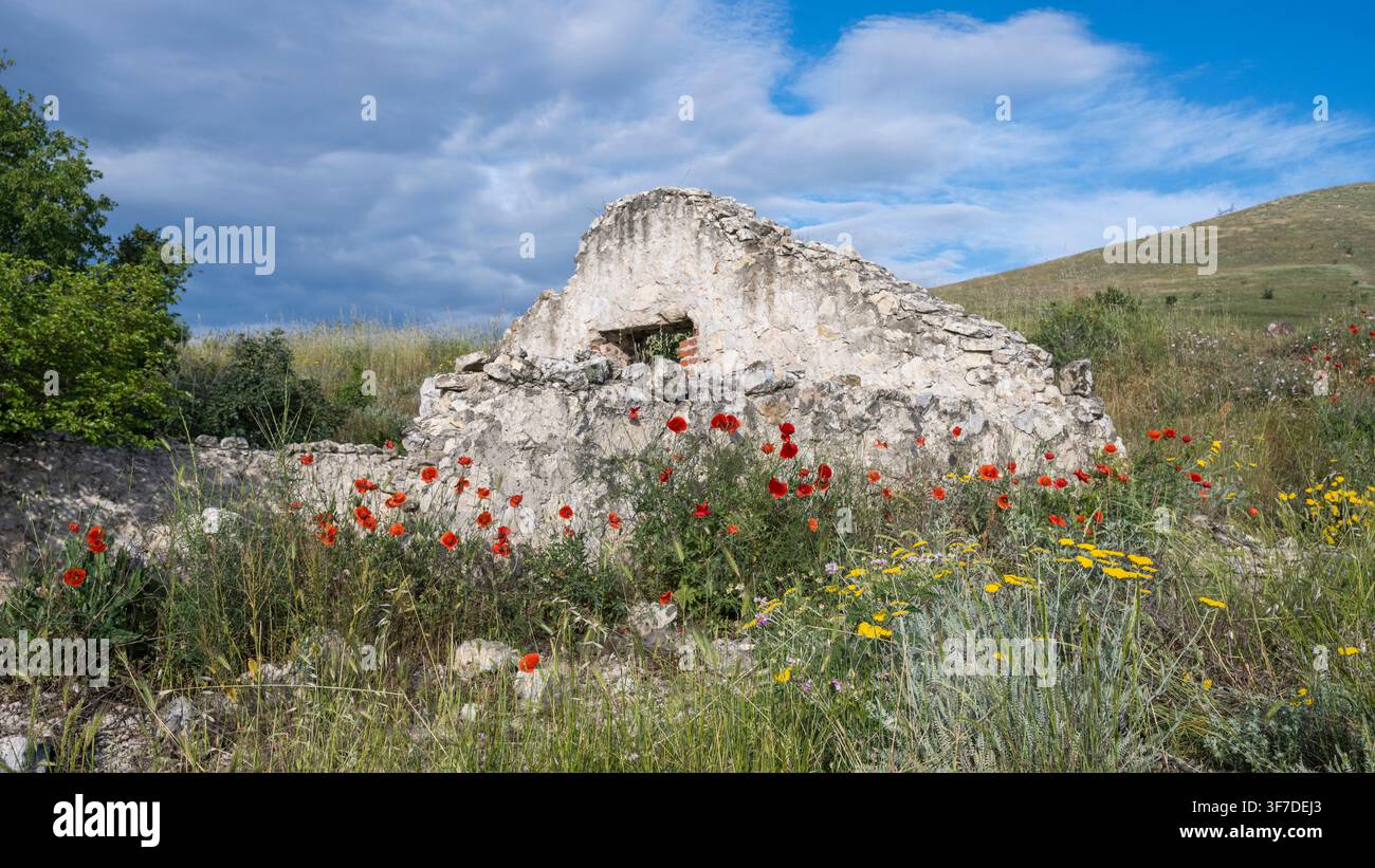 Mohnblumen und andere Wildblumen und altes Bauernhaus, Bulgarien Stockfoto