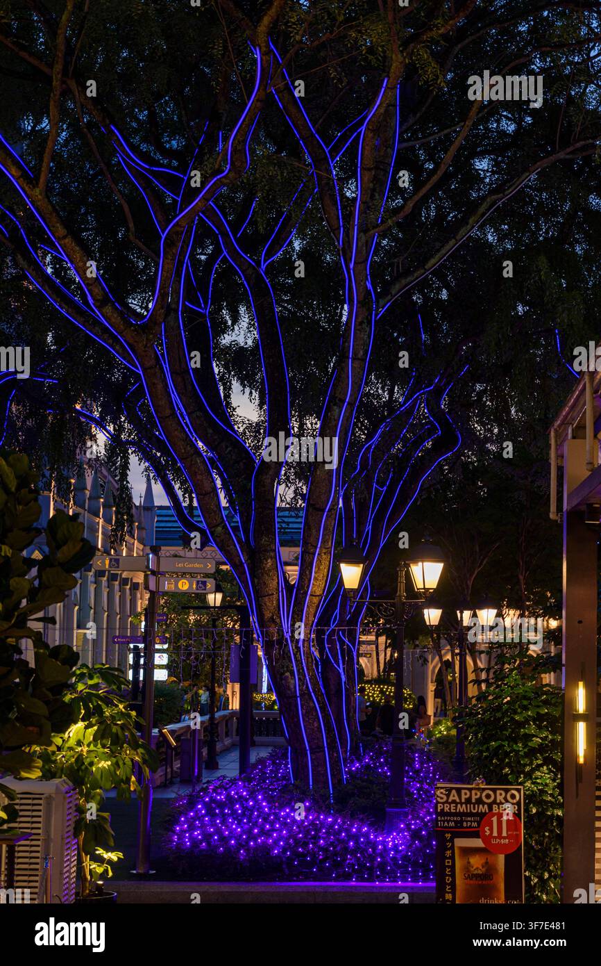 Leuchtender geschmückter Baum bei Nacht im CHIJMES-Komplex, Singapur Stockfoto