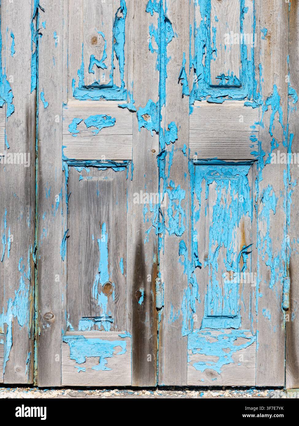 Bemalte Holzhaustüroberfläche, die durch Salzluft beschädigt wurde Stockfoto