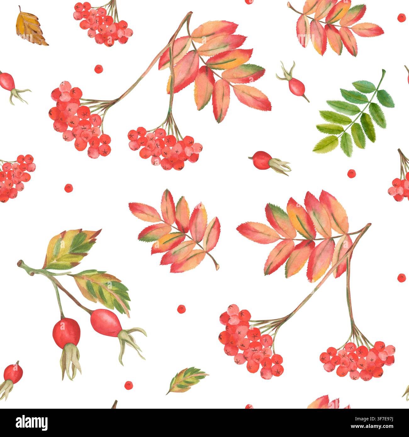 Aquarell-Herbst-Muster ohne Ende mit Ebereschenbeeren und Hagebutten Stockfoto