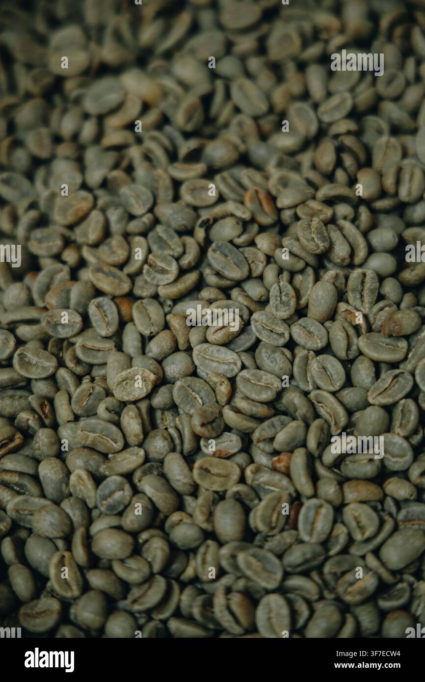 Nahaufnahme von ungerösteten grünen Kaffeebohnen, die die natürliche Textur, Farbe und Eigenschaften von Rohkaffee vor dem Röstprozess hervorhebt Stockfoto