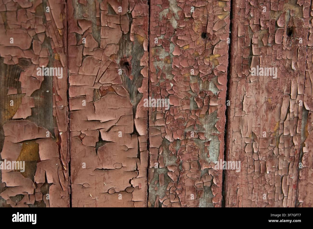 Alte Holzbretter mit abblätternder brauner Farbe, die einen rauen Grunge-Texturhintergrund bilden. Stockfoto