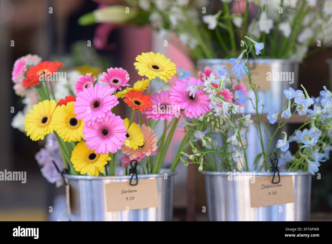 Schnittblumen zum Verkauf Stockfoto