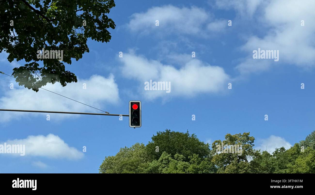 Rote Ampel, die über einer Straße mit grünen Bäumen und einem klaren blauen Himmel im Hintergrund hängt Stockfoto