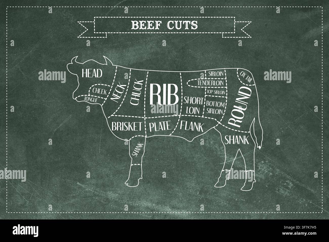 Diagramm der Rindfleischsorten mit Rinderfleisch-Schnittstellen auf grüner Kreidetafel Stockfoto