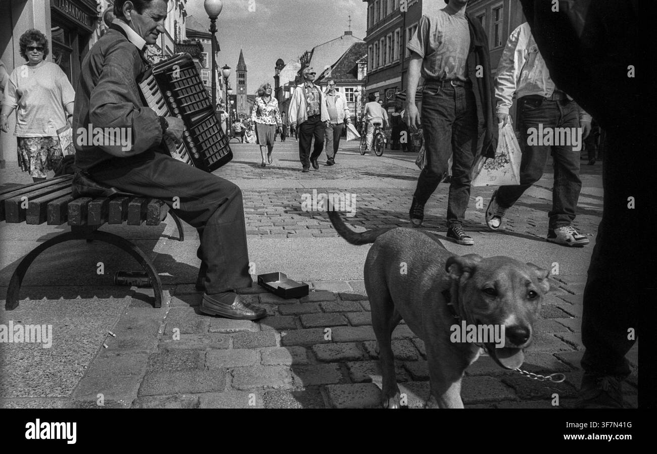 Deutschland, Potsdam, 23.04.1993, Musiker auf dem Boulevard, Brandenburger Straße, Hund Stockfoto