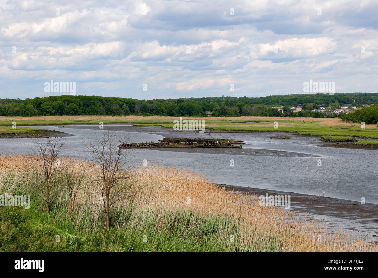 Fresh Kills Hauptkanal, Staten Island, New York City. Eine ehemalige Mülldeponie in einem Süßwasser-Ästuar, die sich nun im Prozess der ökologischen Renaturierung befindet Stockfoto