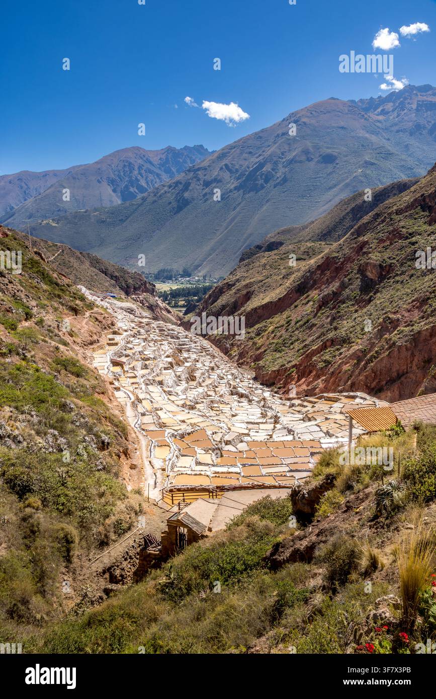 Traditionelle terrassenförmige Salzteiche von Salineras de Maras, die den Andenhang hinunterkaskadieren, mit lebendigen Mineralfarben und dramatischer Tallandschaft Stockfoto