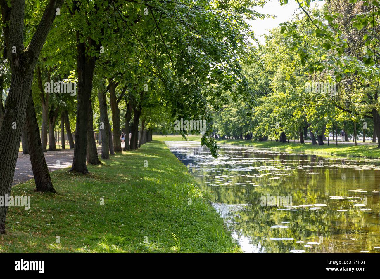Pittoresker Stadtparkkanal, umgeben von üppigen grünen Bäumen und grasbewachsenen Ufern an einem sonnigen Sommertag. Stockfoto