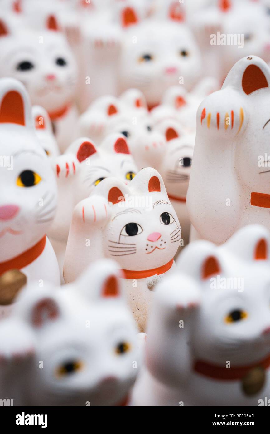 Reihen von weißen Glückskatzen-Statuen in Japan Stockfoto