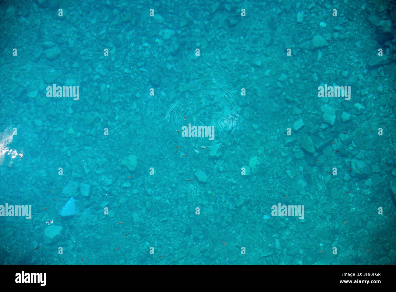 Detail der Wasseroberfläche in einem See mit steinigem Grund und blauem Farbton. Oberansicht. Stockfoto