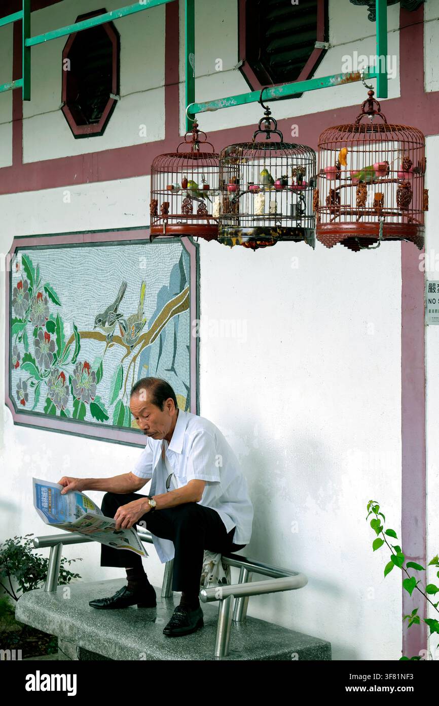 Vogelmarkt in Hongkong / Yuen Po Street Bird Garden, Mong Kok, Kowloon, Hongkong, China, Asien Stockfoto