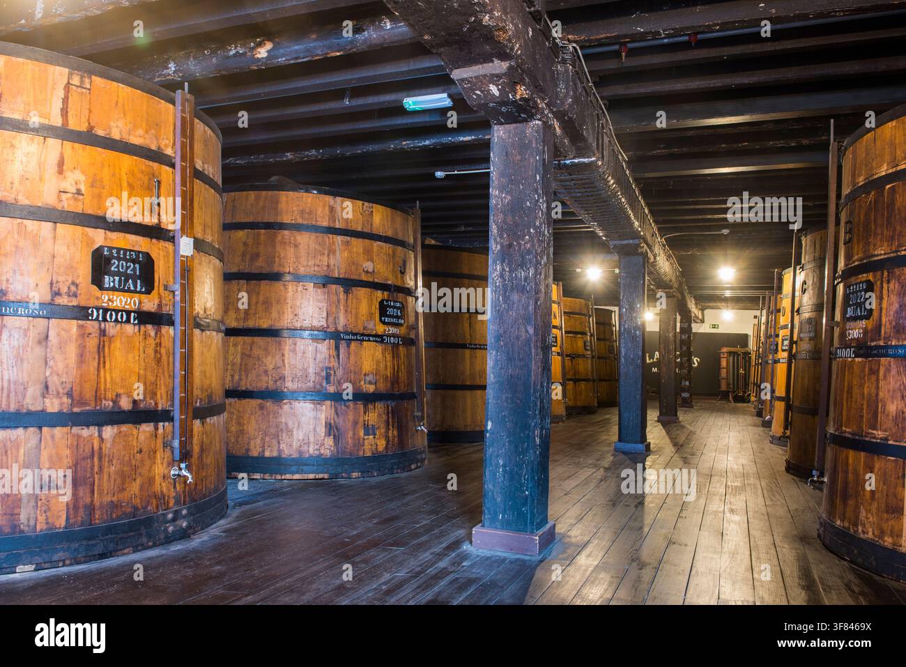 Lagerholzfässer, die im Blandys Wine Lodge in Funchal, Madeira, zu sehen sind, mit Fässern, die in einer ordentlichen Reihe angeordnet sind Stockfoto