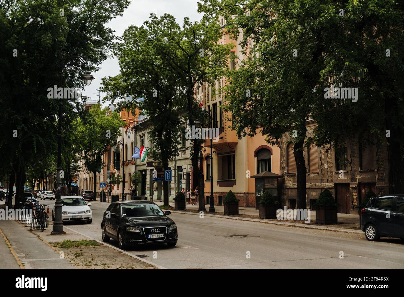 Subotica, Serbien – 16. Juli 2026. Eine ruhige Straße im historischen Zentrum ist gesäumt von ausgewachsenen Bäumen und historischen Gebäuden. Parkende Autos säumen die Stockfoto