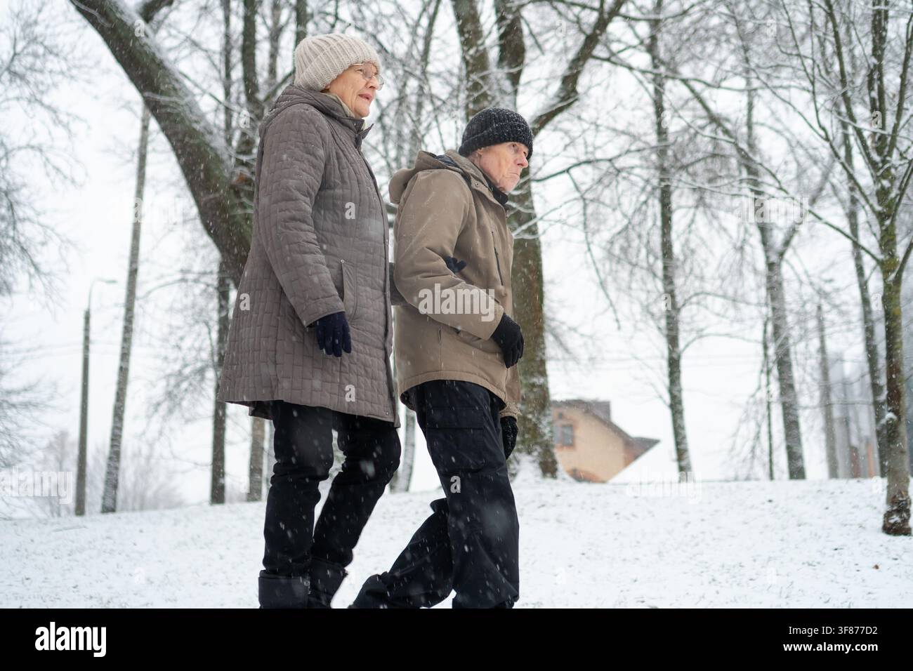Seniorenpaar führt ein warmes Gespräch bei kaltem Wetter auf einem verschneiten Winterpfad. Älterer Herr und Dame zeigen, dass Gespräche Einsamkeit durch Verbindung heilen. Soziale Gesprächspartner teilen Geschichten Stockfoto
