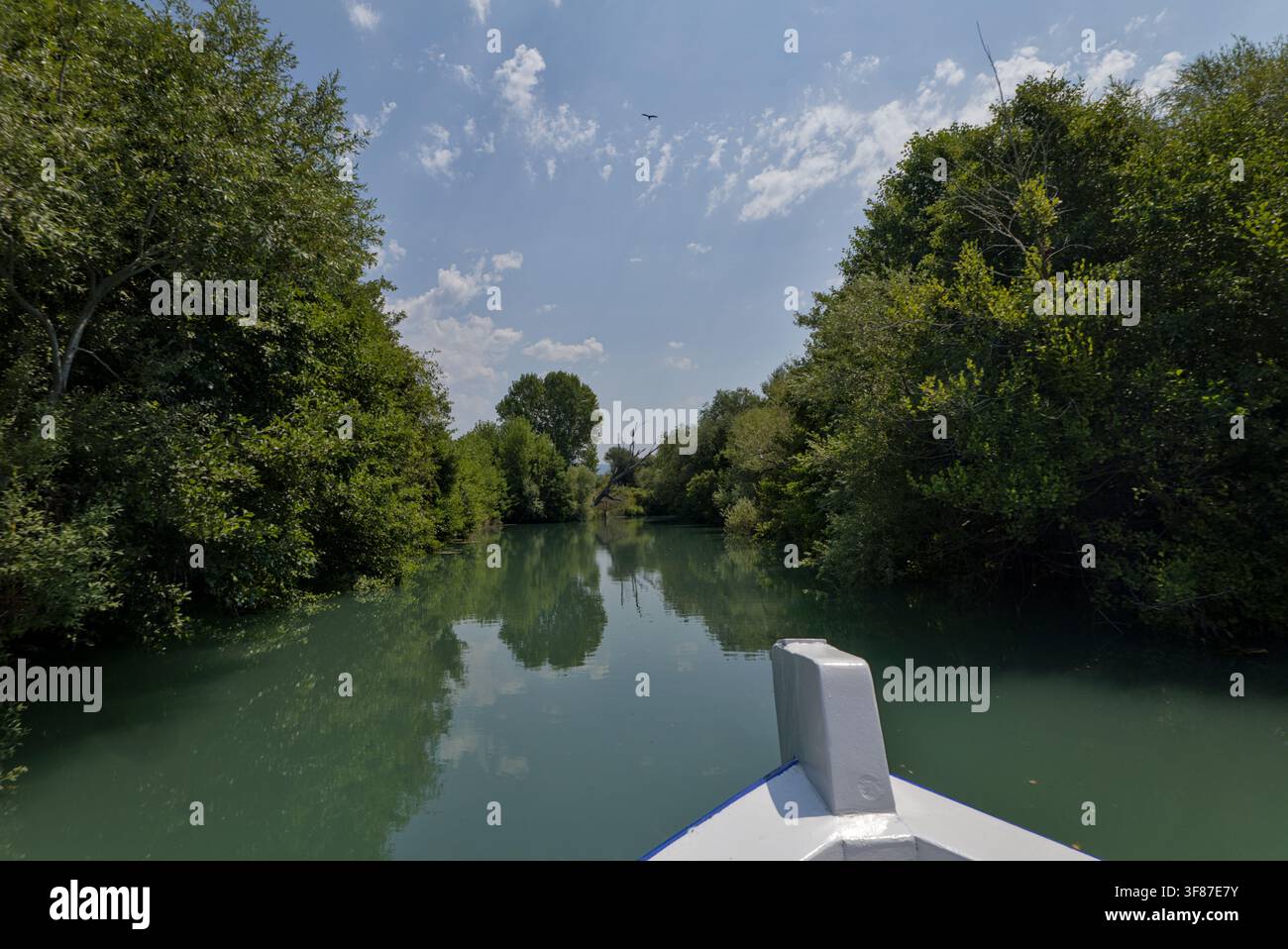 Bootsausflug entlang des bewaldeten Acheron-Flusses in Epirus, Griechenland, gesehen über den Bug bei der Fahrt flussaufwärts. Stockfoto