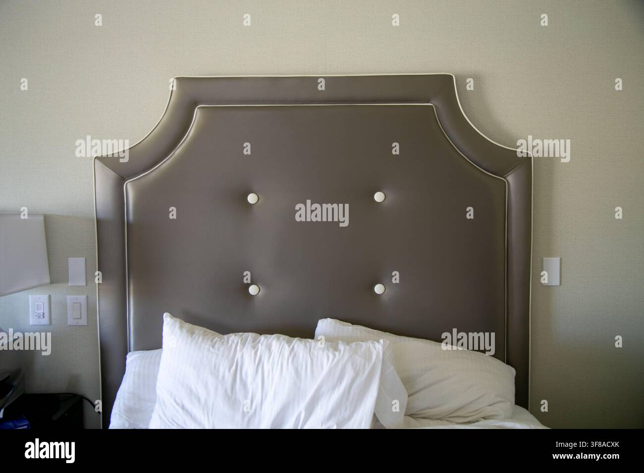 Graues gepolstertes Kopfteil im Hotelstil mit einer anmutigen geschwungenen Silhouette, dekorativen weißen getufteten Knöpfen und kontrastierender heller Paspelierung Stockfoto