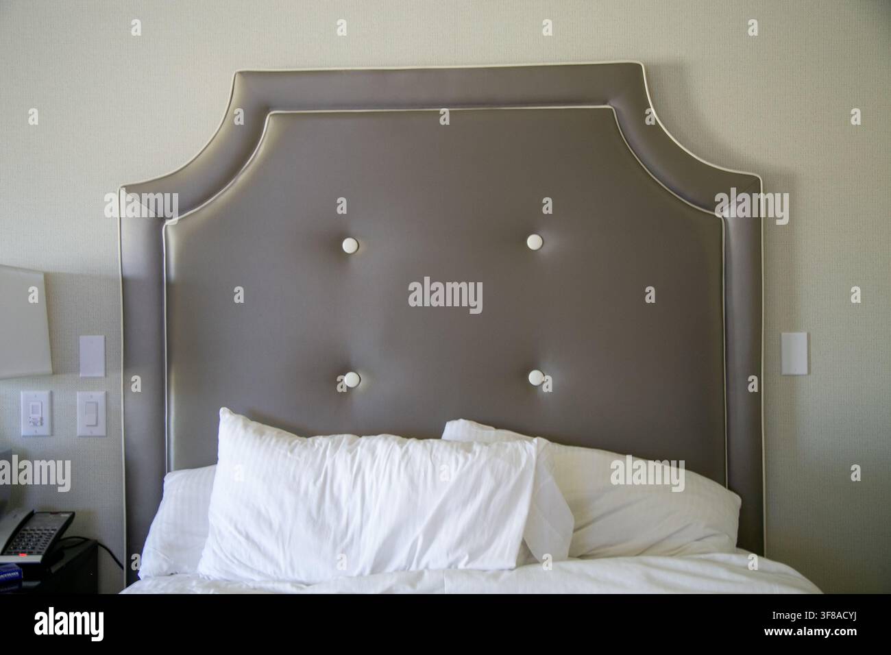 Graues gepolstertes Kopfteil im Hotelstil mit einer anmutigen geschwungenen Silhouette, dekorativen weißen getufteten Knöpfen und kontrastierender heller Paspelierung Stockfoto