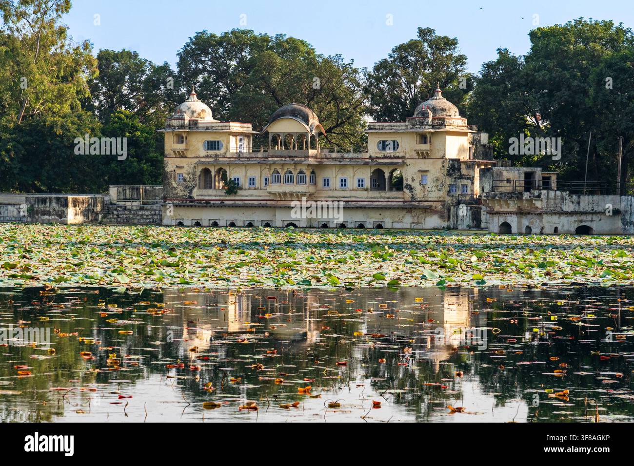 Indien. Rajasthan. Bundi. Der Sommerpalast Sukh Mahal, gebaut am Ufer des Jait-Sagar-Sees, bedeckt mit Lotosblättern // Indien. Rajasthan. Bundi. Stockfoto