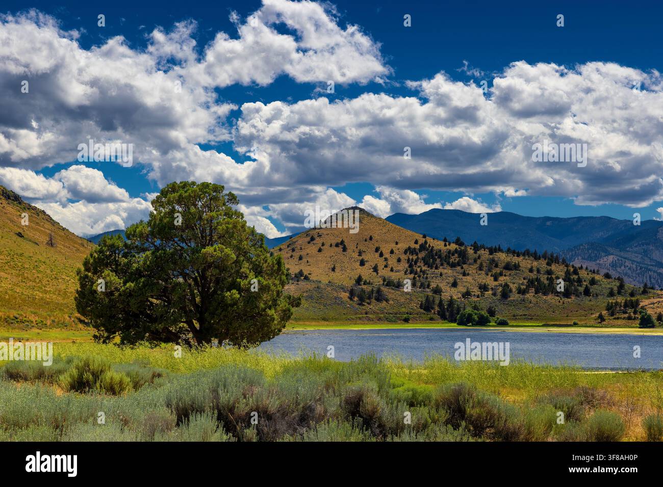 Landschaftsansicht am Lake Shastina Reservoir im nördlichen kalifornischen Hochland unter bewölktem Himmel. Stockfoto