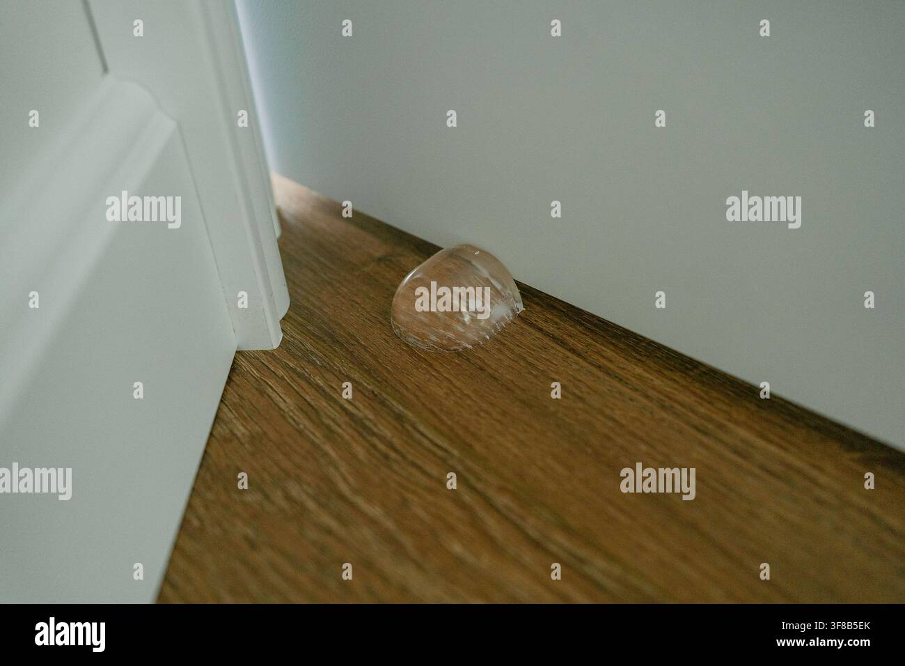 Kleine klare Türstoßstange, die auf Holzlaminierten Böden geklebt ist, um Wandbeschädigungen zu vermeiden. Perfektes Archivbild für Heimschutz, Innenausstattung, Tür Stockfoto