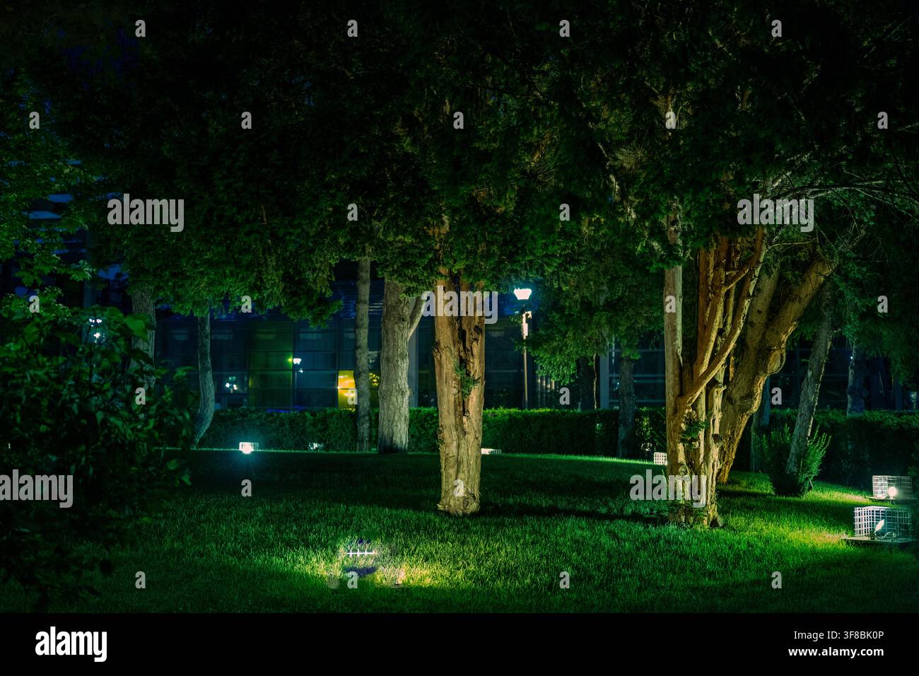 Park in Bukarest, Rumänien, mit üppigen Rasenflächen, alten Bäumen, einer Hängematte und Besuchern, die einen Sommerabend im Freien in der Stadt genießen Stockfoto